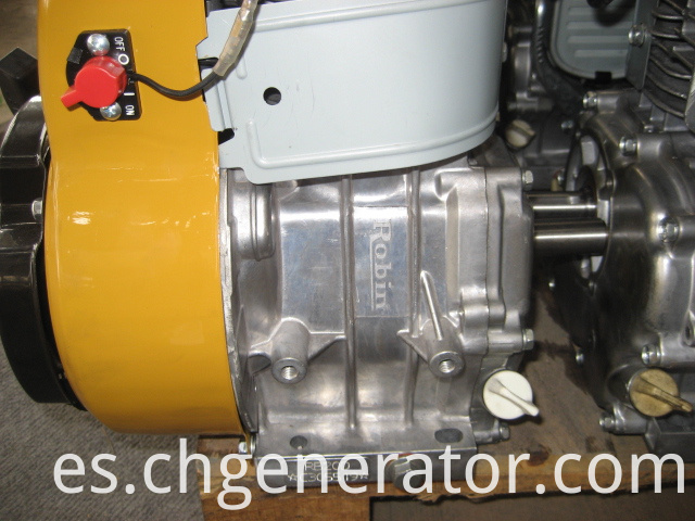 Robin Gasoline Engine